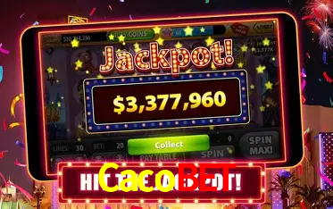 Bikini Paradise Slot - PG Soft